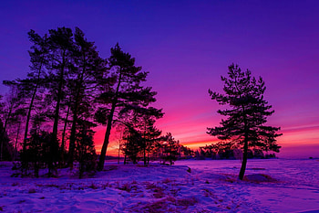 Winter sunset, , Nature, Backgrounds HD wallpaper
