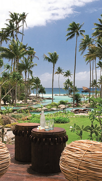 Tropical resort oasis, Sea, palm trees, pool, Luxury escape HD phone wallpaper