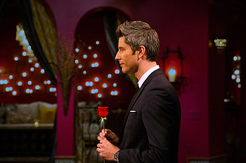 The Bachelor, Arie's season, Search for love, GQ article HD wallpaper