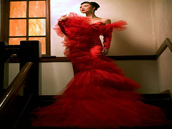 STUNUNG RED DRESS, saten, dress, long, red HD wallpaper