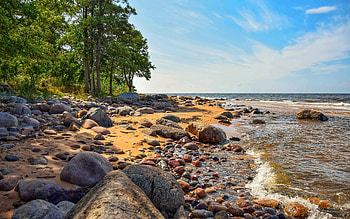 Rocky Beach in Latvia, coasts, sea, trees, Latvia, rocks, beach HD wallpaper