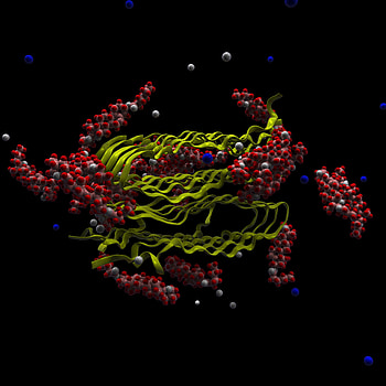 3D, Microorganisms, Microscopic, Microbiology, Molecules HD phone wallpaper