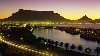Cape Town, South Africa, Night Lights, Palm Trees HD wallpaper