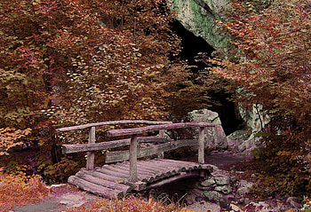 Landscape, Nature, Trees, Rocks, Bridge HD wallpaper