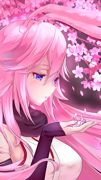 Yae Sakura, Girly HD phone wallpaper