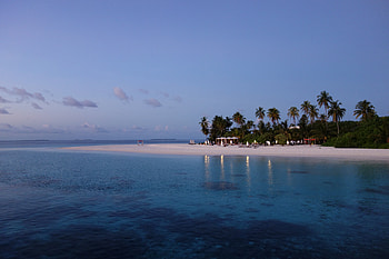 Nature, Beach, Palms, Evening, Tropics, Maldives HD wallpaper