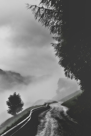 Nature, Trees, Mountains, Road, Fog, Bw, Chb HD phone wallpaper