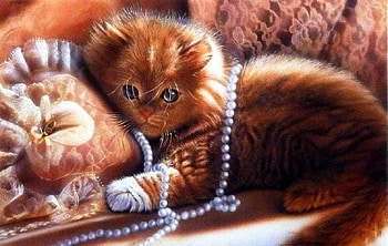 little cat, pearls, cats, cat, animals HD wallpaper