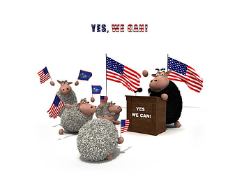 yes we can, yes, we can HD wallpaper
