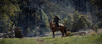 Kingdom of the Planet of the Apes, movie, Kingdom of the Planet of the Apes HD wallpaper