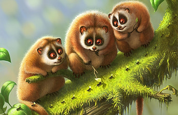 Animals, Art, Lemurs, Branch, Moss, Lemur HD wallpaper