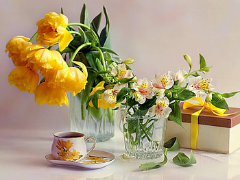 Plants, Flowers, Bouquets HD wallpaper