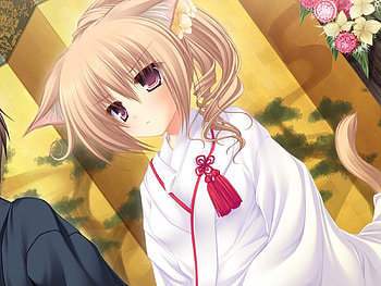 Misaki Ryuudou, anime girl, neko koi, kitty, anime, miko, cat HD wallpaper