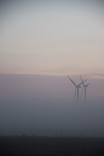 Fog, Minimalism, Field, Windmills HD phone wallpaper
