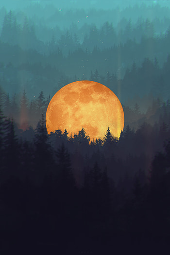 Art, Trees, Moon, Forest, Illusion HD phone wallpaper