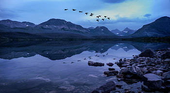 Birds Mountains Stones Evening Lake, mountains, lake, evening, nature, birds HD wallpaper