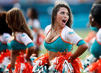 miami dolphins HD wallpaper