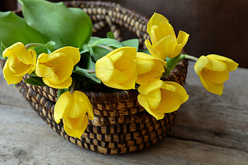 Flowers, Tulips, Bouquet, Basket HD wallpaper