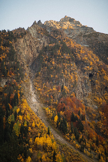 Nature, Trees, Autumn, Rocks, Path, Slope HD phone wallpaper