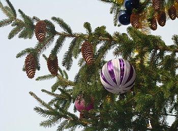 Holidays, Cones, New Year, Toys, Christmas, Branches, Needles, Christmas Tree HD wallpaper
