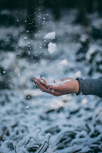 Winter, Snow, Hand, Miscellanea, Miscellaneous, Palm HD phone wallpaper
