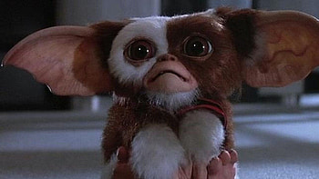 Chris Columbus, Gremlins 3, Practical effects, Tangible puppets HD wallpaper