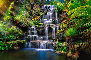 Exotic waterfall, plants, exotic, cascades, waterfall, flowers, beautiful, pond HD wallpaper