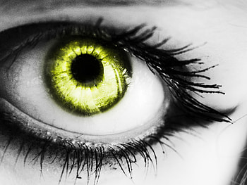 Beast Yellow Eye, beautiful, eye, beast, yellow HD wallpaper