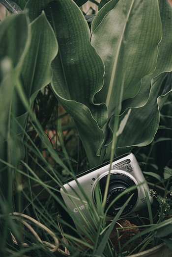 Technics, Technique, Technologies, Technology, grapher, Camera, Canon HD phone wallpaper