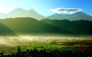 MOUNTAIN FOG, hills, plantation, green, fields, landing, mountains, sun HD wallpaper