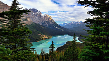 Peyto Lake , Mesmerizing scenery, Majestic mountains, Serene waters HD wallpaper