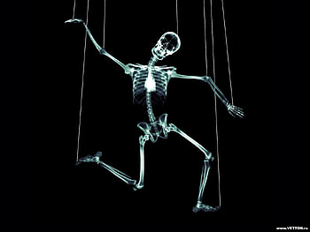 Funny, Skeletons HD wallpaper