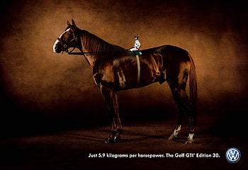 Jockey Outdoors, english, horses, chestnut, jockey, funny, thoroughbred HD wallpaper