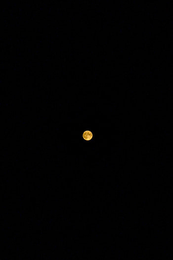 Night, Moon, Minimalism, Full Moon HD phone wallpaper