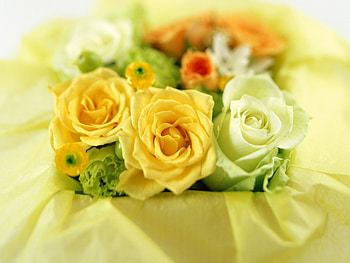 Plants, Flowers, Roses, Bouquets HD wallpaper