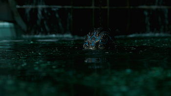 The Shape of Water, Blu-ray review HD wallpaper