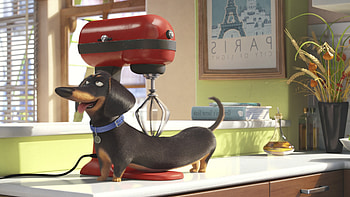 Secrete Life of Pets Movie, the-secret-life-of-pets, movies, animated-movies, cartoons HD wallpaper