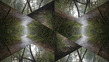 Misty Kaleidoscope Forest —, Forest, Path, Fog, Tree HD wallpaper