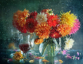 Still life, graphy, vase, water drops, beautiful, beauty, wet, petals, glass, flowers, harmony HD wallpaper