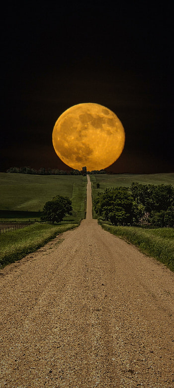 Golden Moonrise — , nature, moon HD phone wallpaper