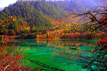 AUTUMN LAKE, fog, autumn, mountains, forest, lake HD wallpaper