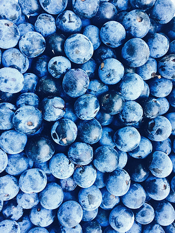 Fresh, blueberry, fruits HD phone wallpaper