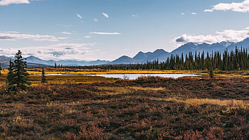 Autumn in Alaska, fun, field, cool, nature, Alaska, mountain HD wallpaper