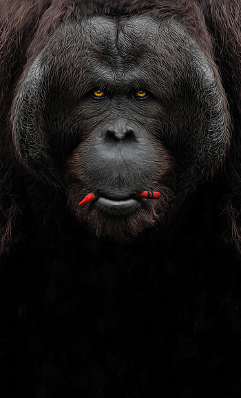 Ape inspired , Embrace the wild, Unique designs, and mobile HD phone wallpaper