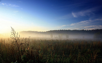 Nature, Sky, Field, Morning, Haze, Herbs, Herbage, Shroud, Awakening HD wallpaper