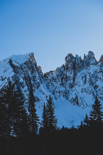 Nature, Mountains, Moon, Snow, Rocks, Fir, Spruce, Snow Covered, Snowbound HD phone wallpaper