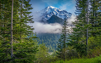 Mount Rainier morning mountain, Washington State landscapes HD wallpaper