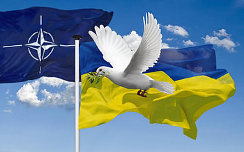 Peace for Ukraine, Nato, Ukraine, dove, flags, peace HD wallpaper