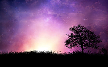 gratis para pc - Buscar con Google HD wallpaper