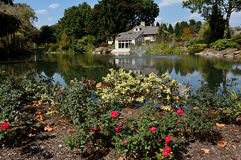 Relaxing Nature, tranquil nature, peaceful nature, peaceful, scenic nature, serene HD wallpaper